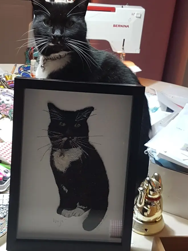 Personalised Pet Portrait Illustration