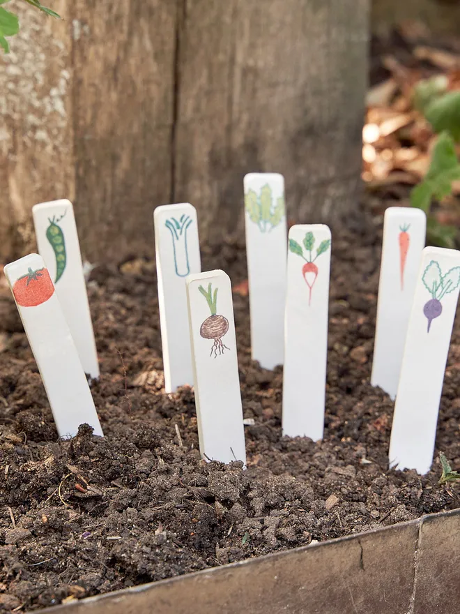 Ceramic Vegetable Image Labels (Set Of 8)