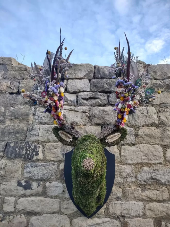 Extra large Botanical Stag Head Wall Mount 