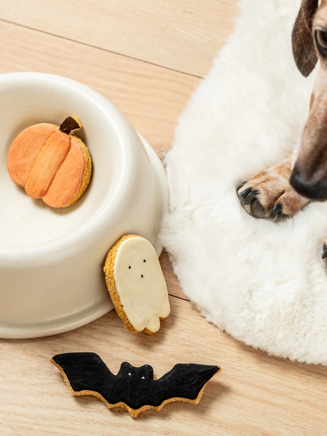 Halloween iced dog biscuit trio featuring a pumpkin, ghost and black bat arranged beside a dog and ceramic bowl.
