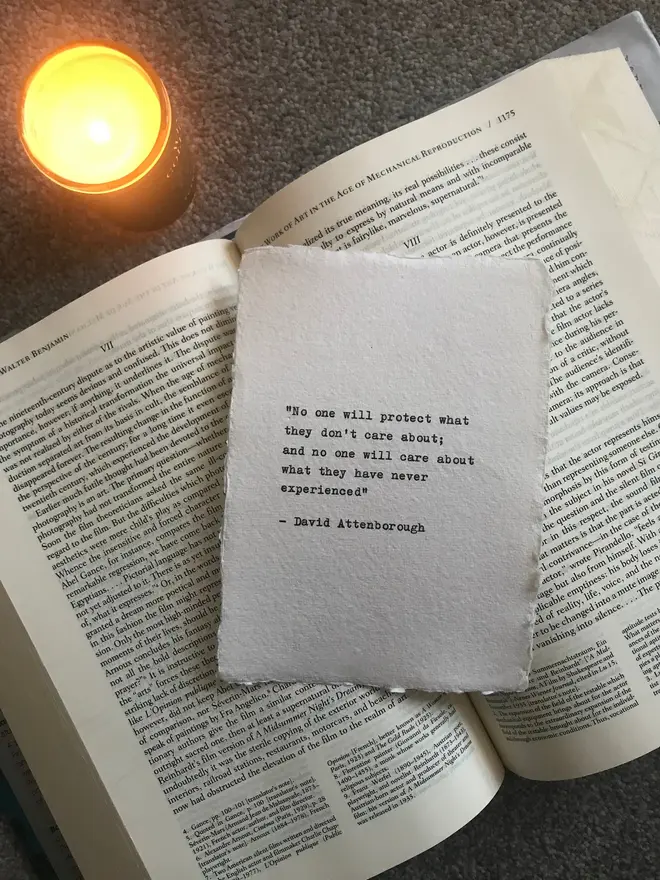 David Attenborough Quote Typewriter Print,