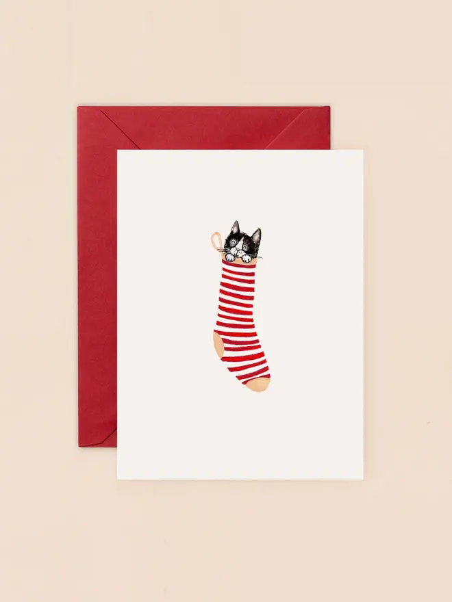 cat in stocking illustrated christmas card