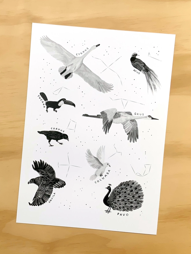 a print with a white background featuring a selection of black and white birds who appear in constellations, alongside the star constellation image