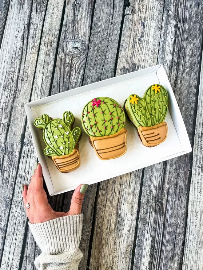 three large cactus shaped macarons decorated with white, yellow & pink flowers, in a white box on a wooden table
