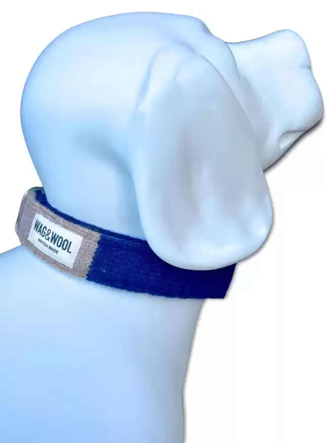 navy blue dog collar on a mennequin