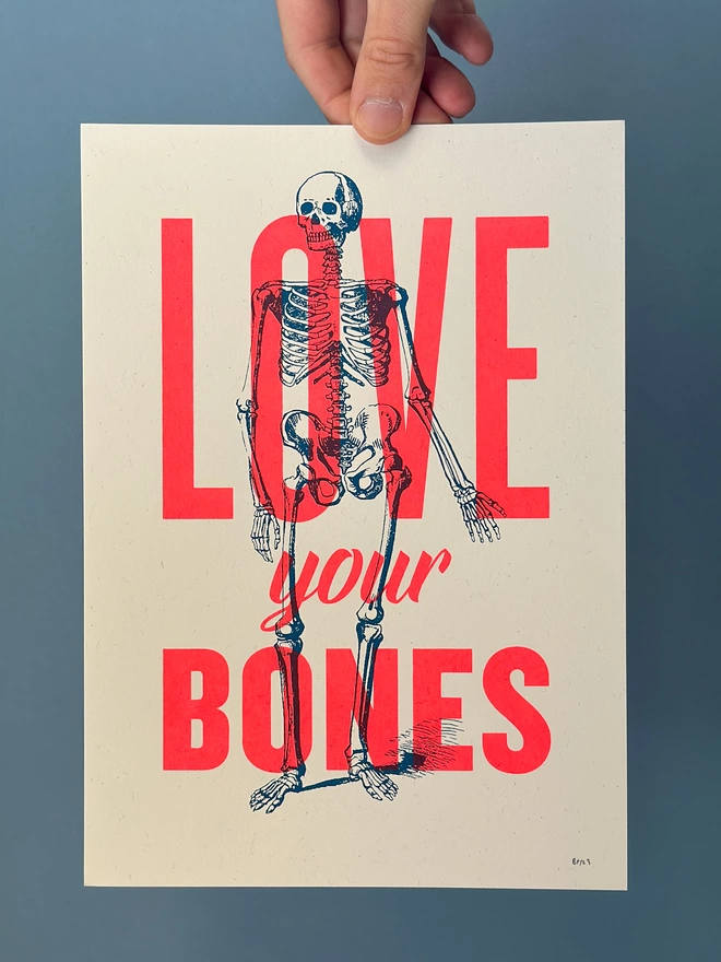 hand holding an A4 screen print that shows a hand drawn illustration of a human skeleton with the words Love your bones screen printed over the top in flouro red inks.