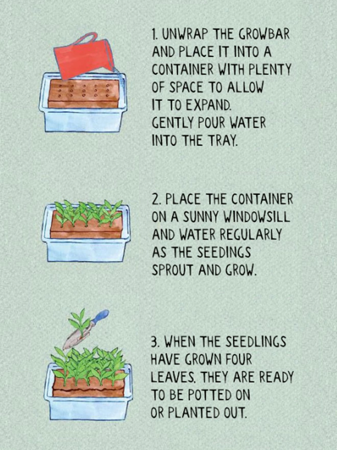 Growbar's three step seed starting instructions with illustrations.
