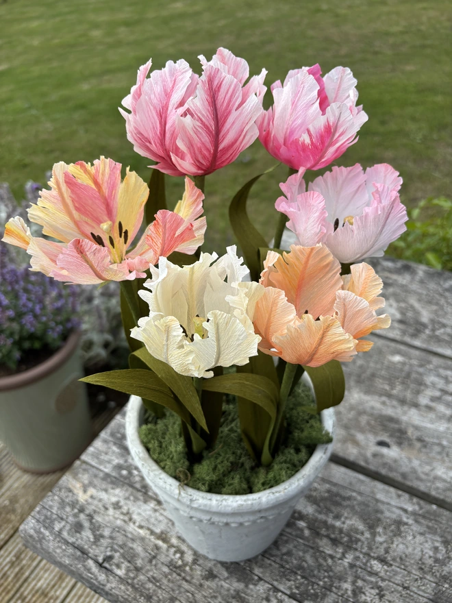 set of 6 paper tulips in various colours
