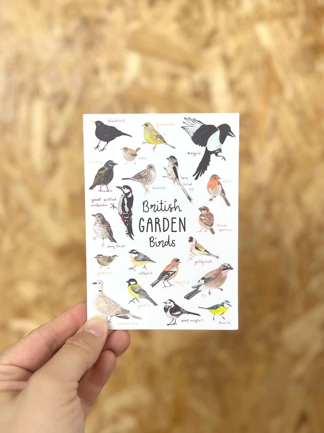 a greetings card featuring a selection of birds found in the gardens of britain and the words “British Garden Birds”