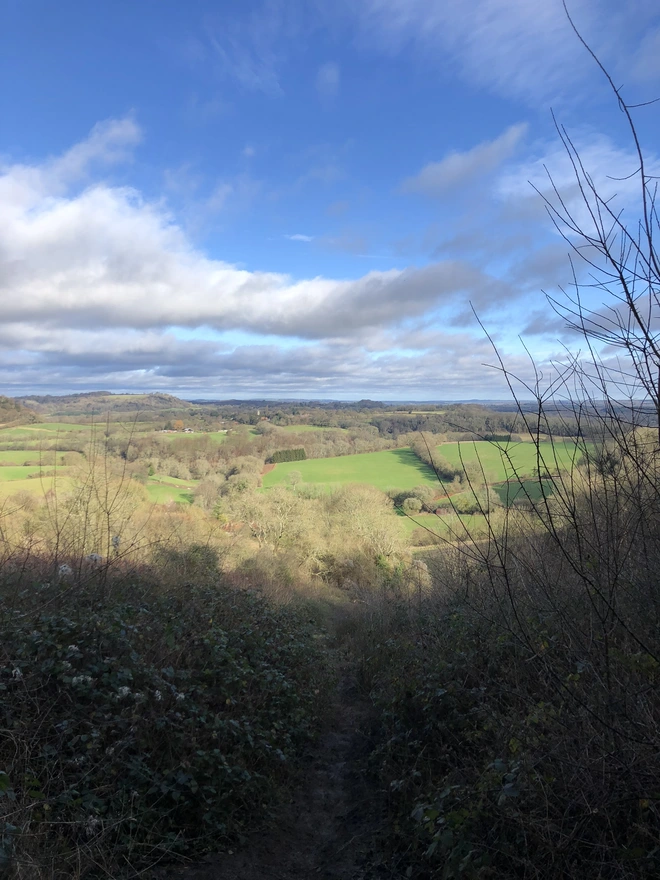 The Hampshire Hangers