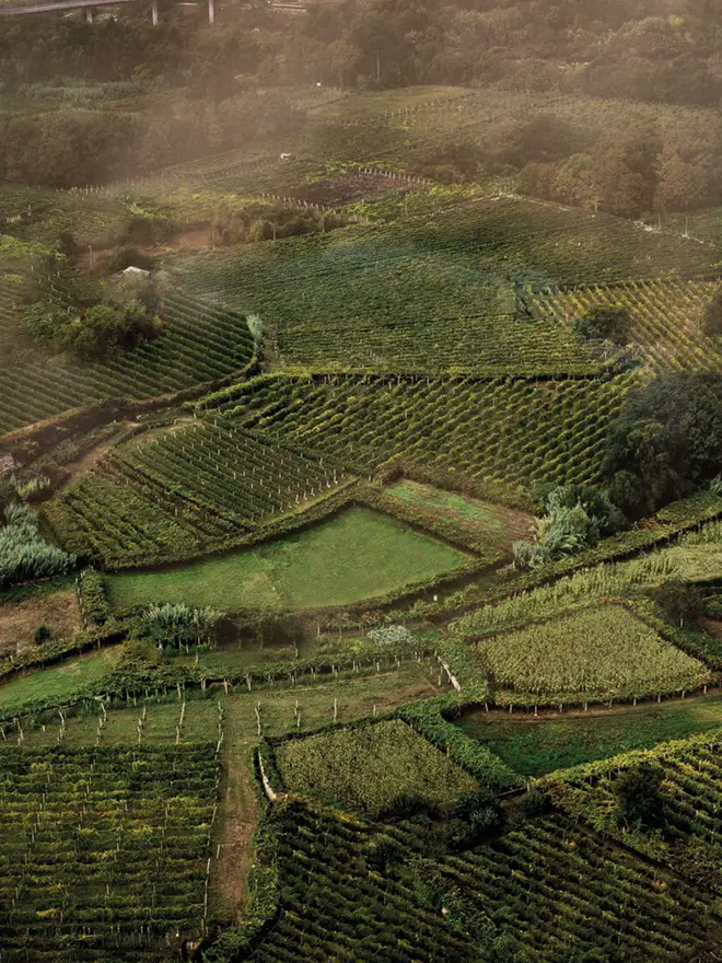 Vinho Verde region