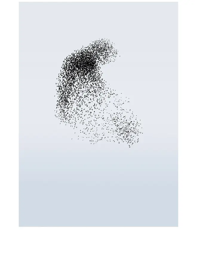 Murmuration 6 Giclée Print 