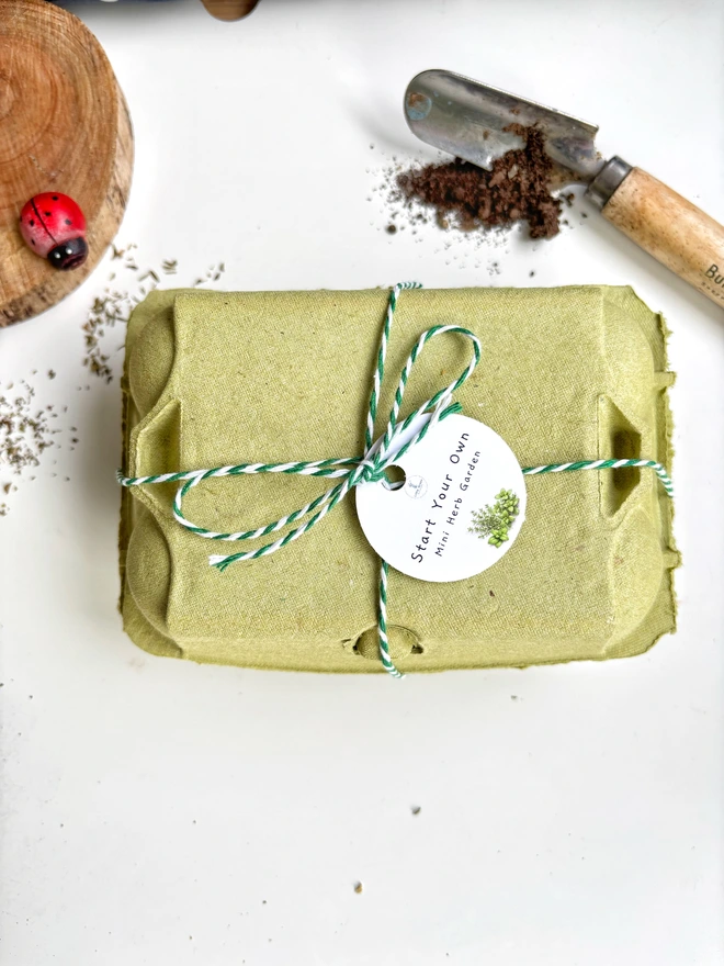 green egg box with tied with green thread and a grow your own mini herb garden tag. It is on a white background with a  wooden disc and ladybird next to it plus spilled soil and a garden tool.