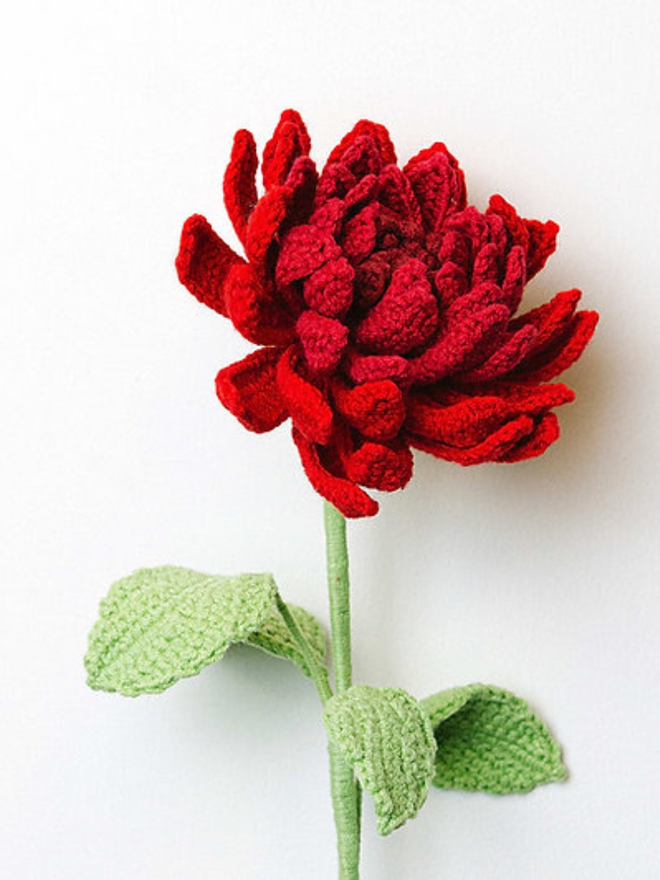 crochet dahlia flower stems red