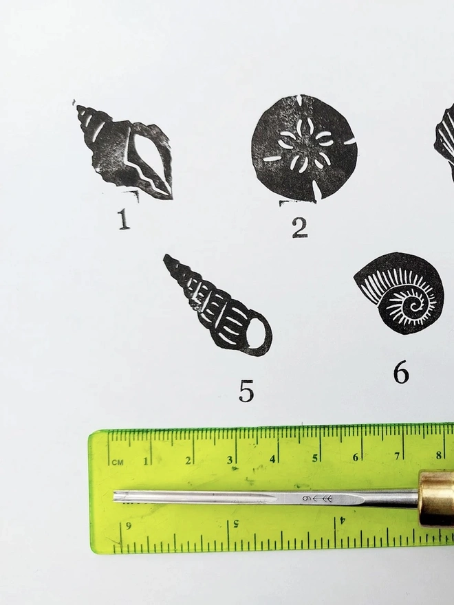 Sea Shell Ink Stamps