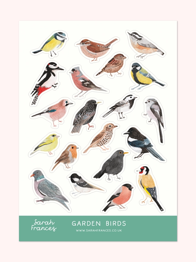British Garden Birds Sticker Sheet