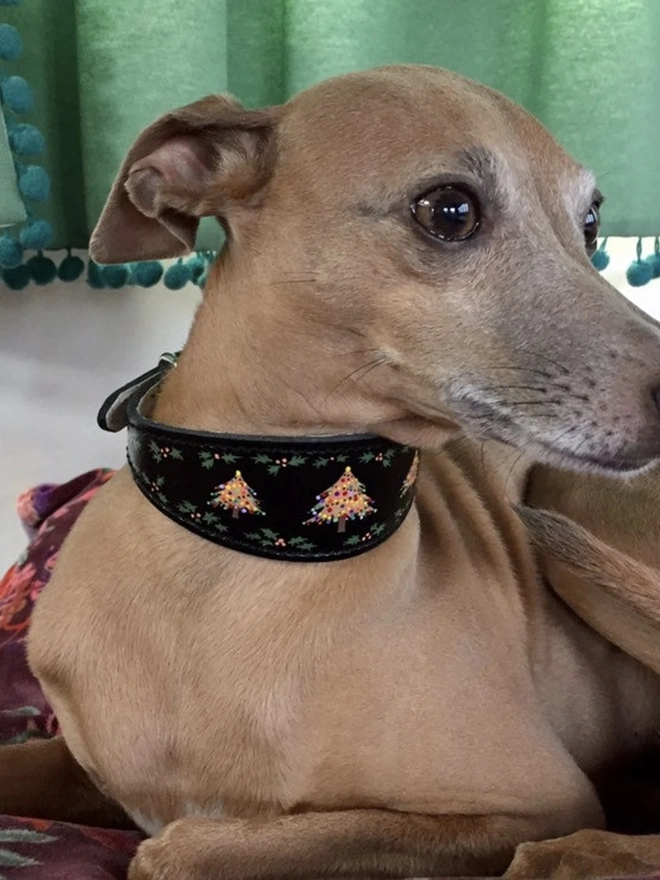 Small/ Medium Festive Christmas Leather Sighthound Collar