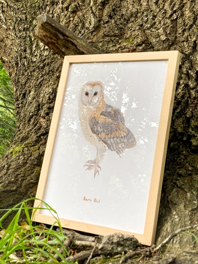 a print featuring an illustration of a barn owl