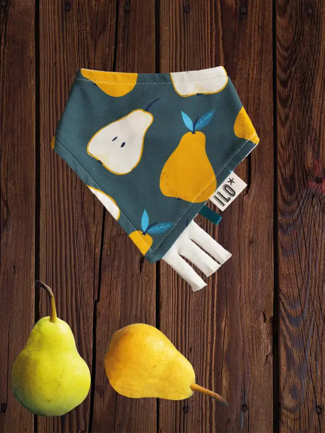 Pears organic reversible bandana dribble