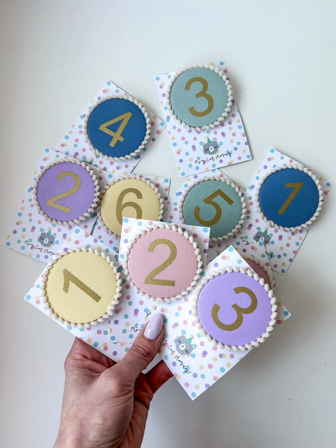 Coloured Number Birthday Badge