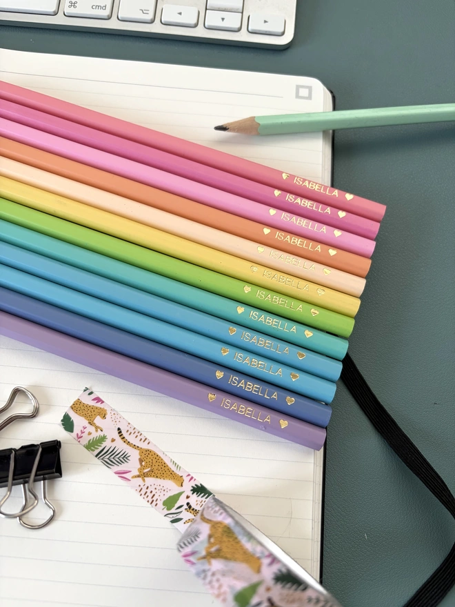 Pastel Colouring Pencils