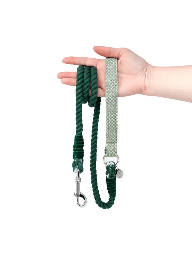 green dog lead with green rope