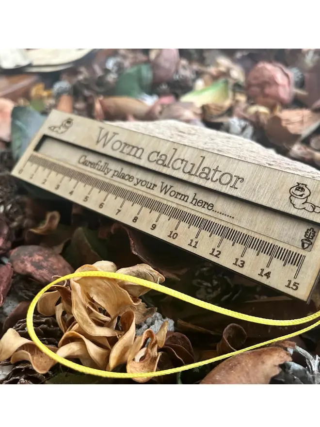 Birch plywood worm measuring calculator ruler with engraved worm illustrations and measurement markings shown resting among pinecones and natural materials.