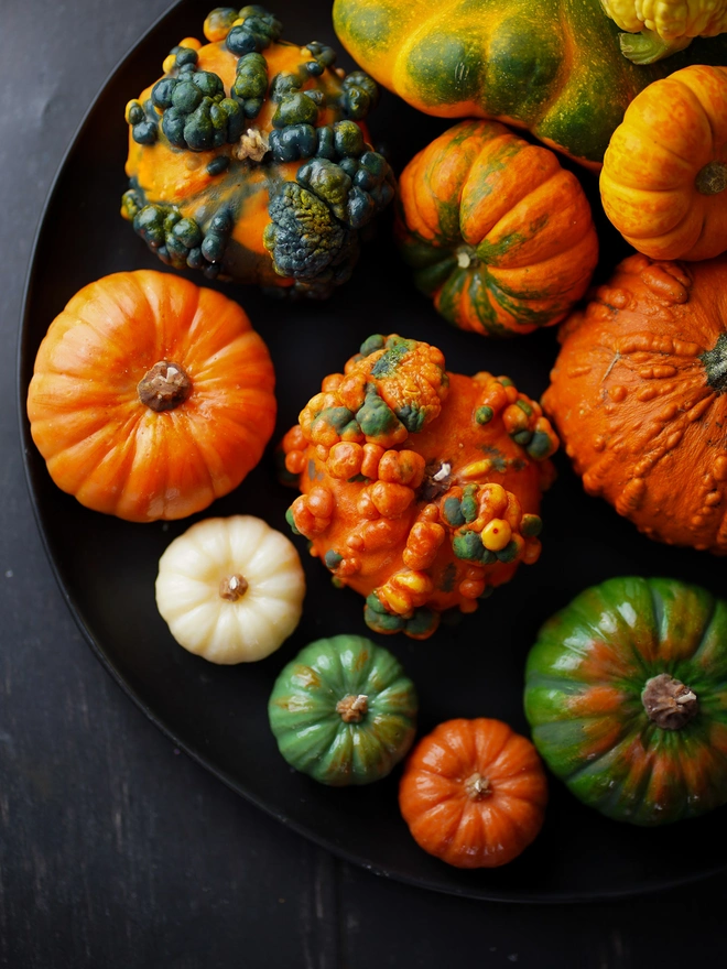 Pumpkin Candle Collection