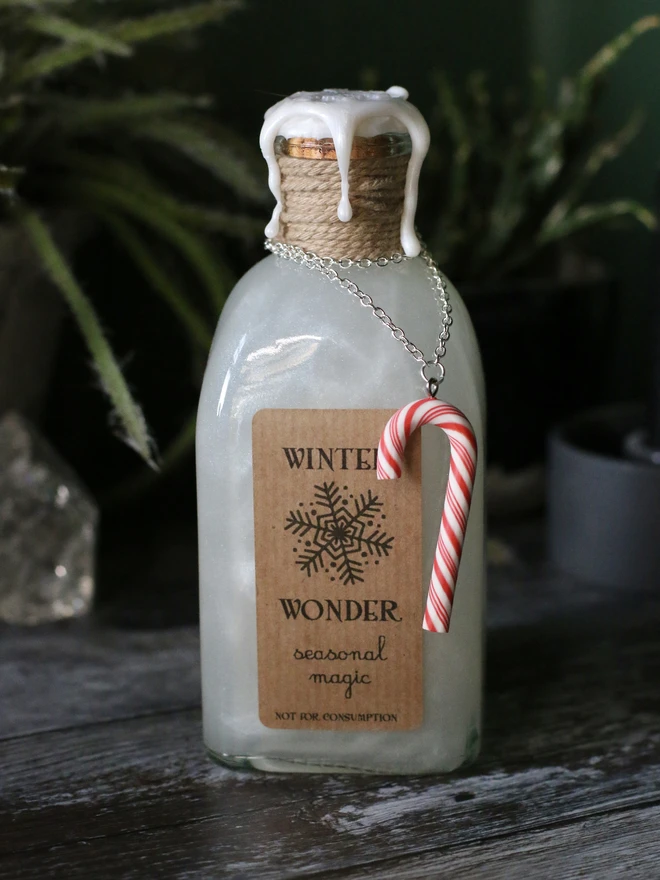 Winter wonderland potion