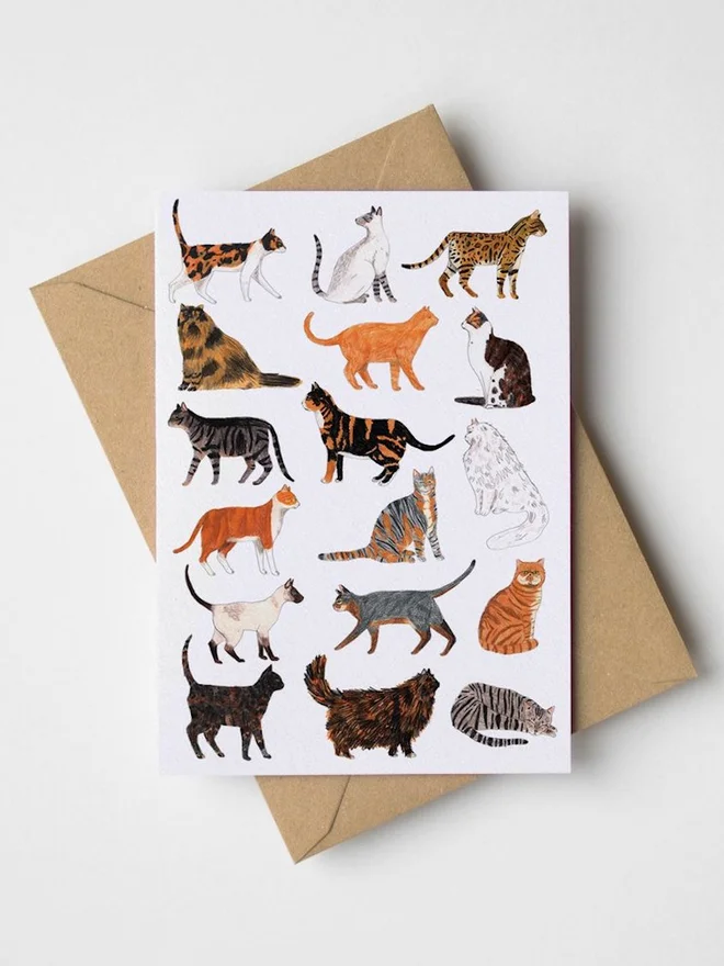 Cats Greeting Card