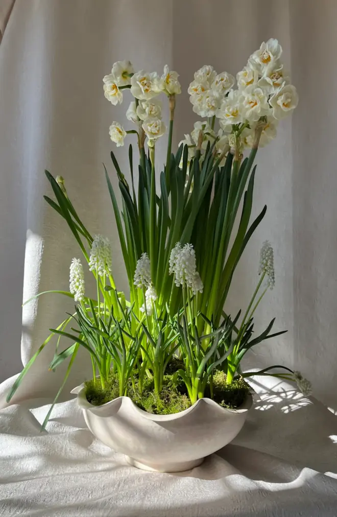 Large Frilly Bowl - Pearl holding green and white flowers on white cloth background