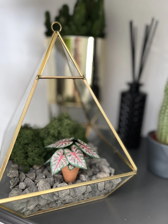 A miniature replica Caladium Rosebud paper plant ornament in a terracotta pot sat in an ornamental gold terrarium with pebbles inside on a shelf and other real plants in the background