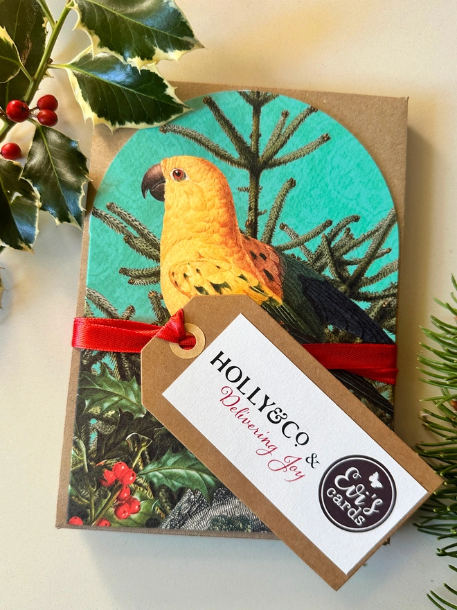 An arched shaped Christmas card set of 8. The set contains 8 cards with a brown kraft envelope and there at two cards from each of the 4 designs. the front card shows a yellow parrot, sat on a Christmas tree, with holly. The set is tied together and image shows a gift tag with the Holly & co logo and Evi's cards logo. 