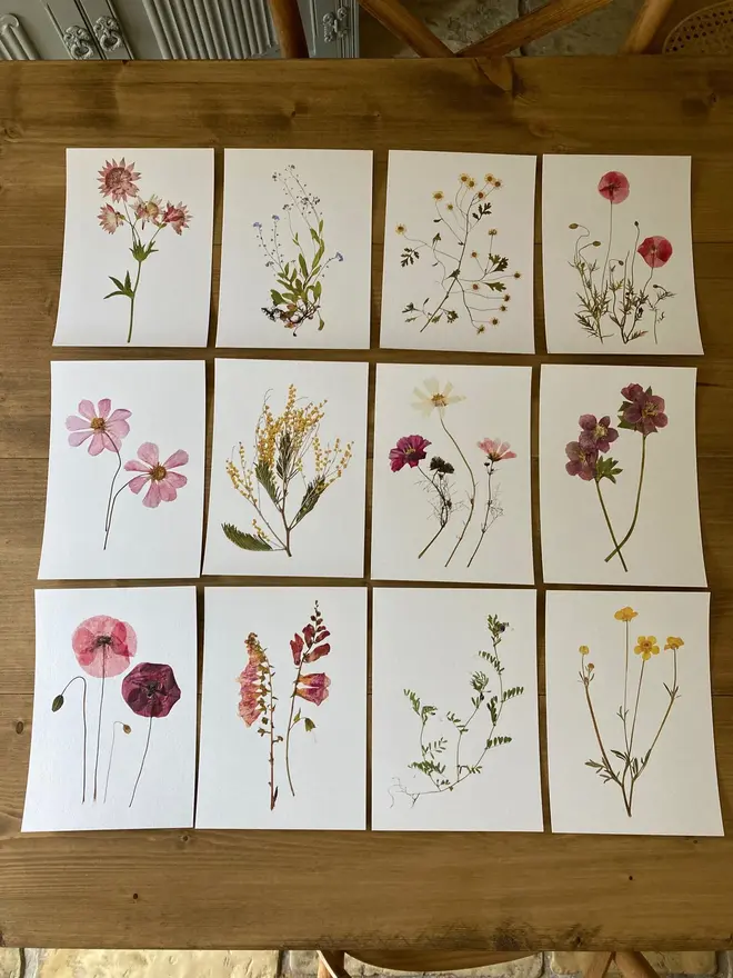 Pressed Wildflower Herbarium Print Collection (Set Of 12), a collection of flowery prints sitting on a wooden surface. 