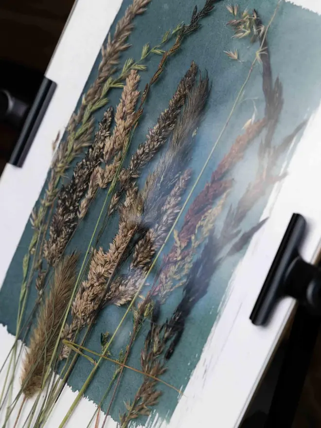 A4 Cyanotype Paper To Create Beautiful Prints With Sunlight