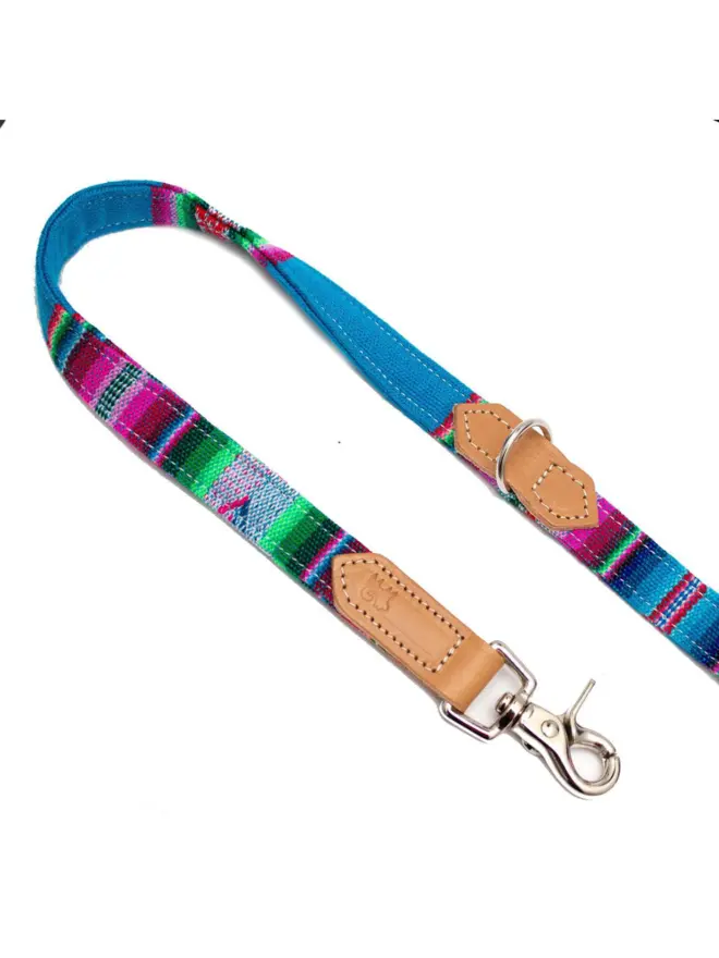 Blue cafe dog lead