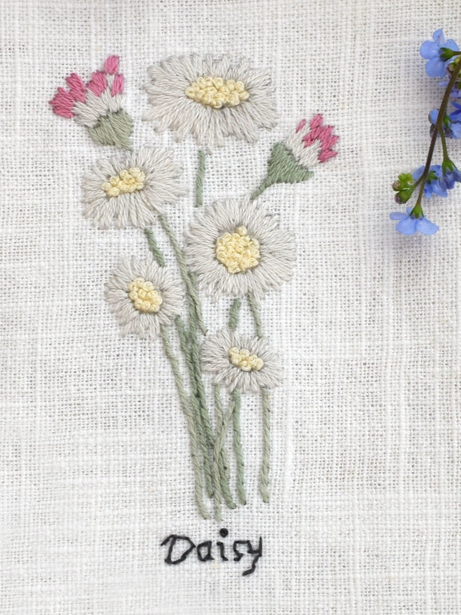 Floral Botanical embroidery kit of Daisies or Belles Perennis a symbol for April and 5th wedding anniversary.  Meaning Measure of love, Innocence, Simplicity, Loyal Love and Playfulness.