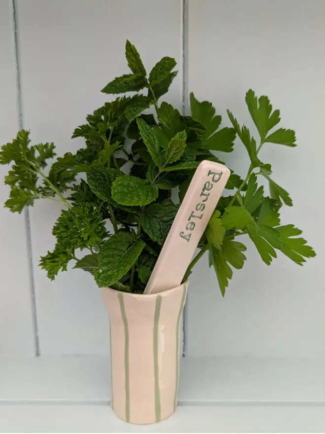 Green herb labels 