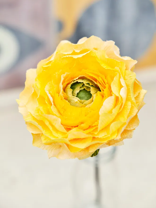 Yellow crepe paper flowr