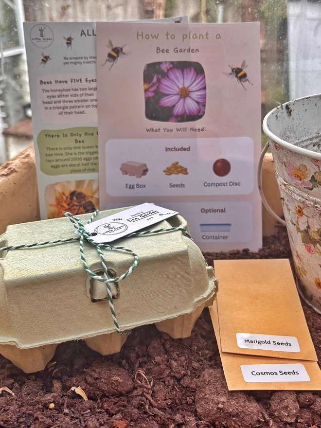 Green egg box closed with green and white string wrapped around tied in a bow with a white label, two Kraft seed packets and a white floral bucket on the right hand side. One instructions card and one educational about bees card positioned behind, allPositioned on soil, 