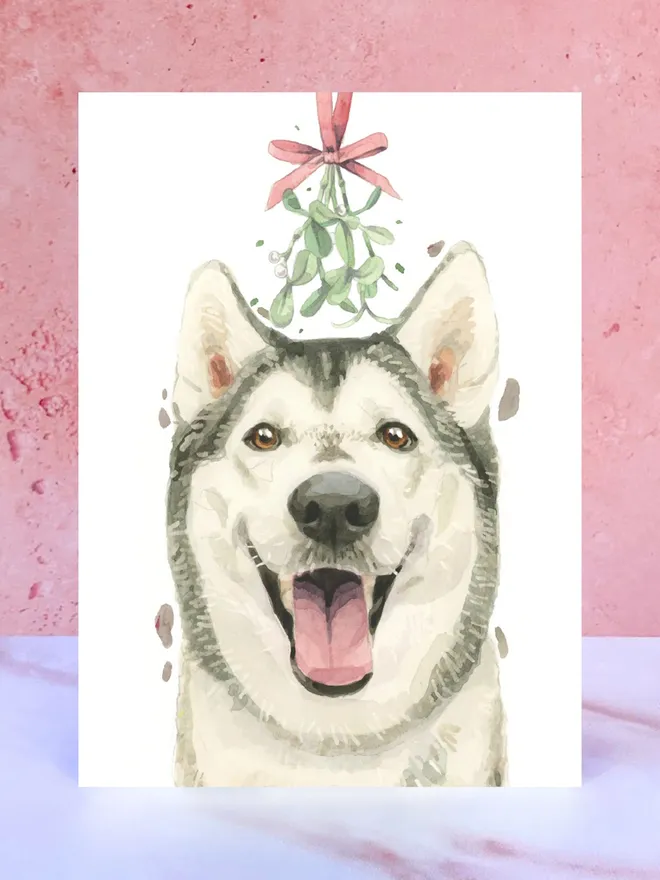 white grey husky dog mistletoe christmas card