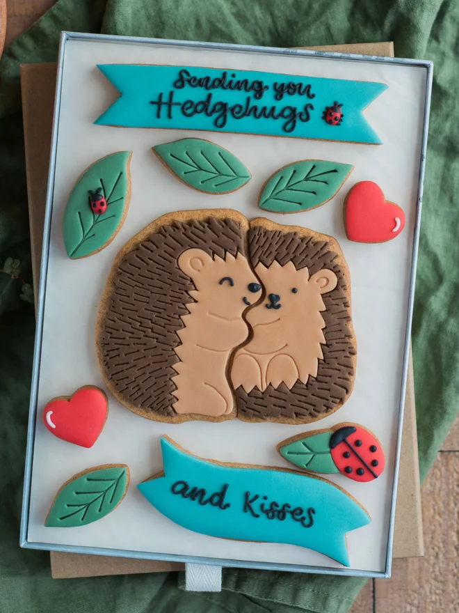 Hedgehugs Biscuit Gift