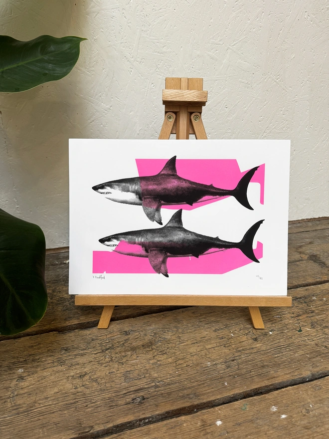 Shark Tank (Pink and Black) - Screen Printed Shark Poster - lifestyle shot