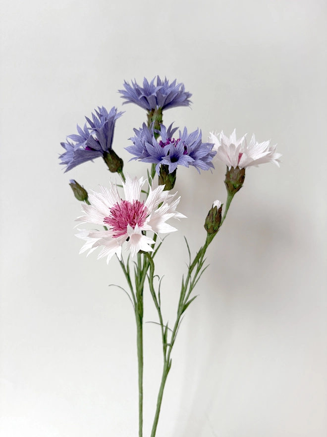 Crepe Paper Cornflower