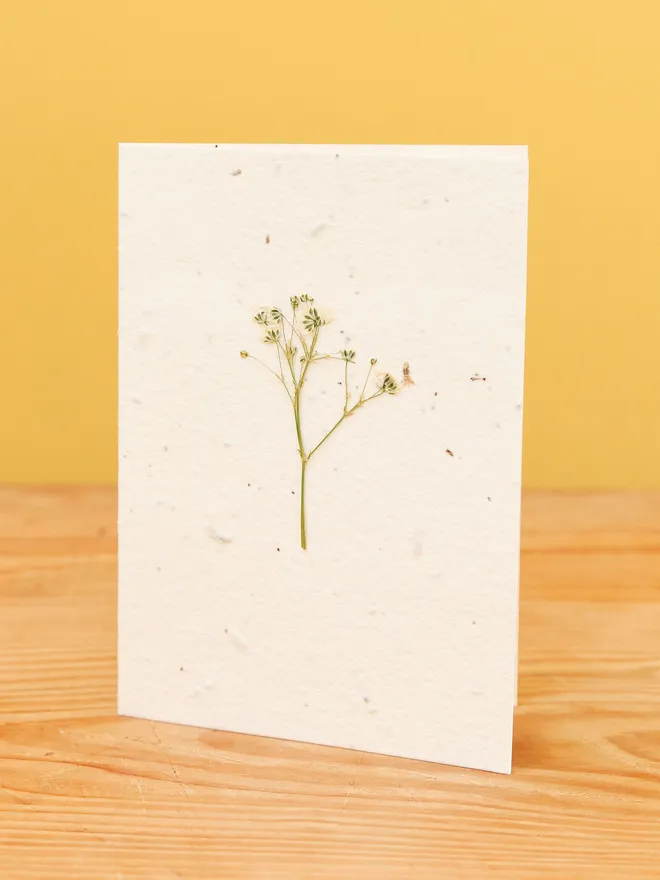 Pressed flower white card