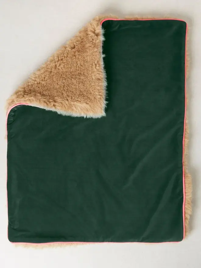 dog travel plushy cushion