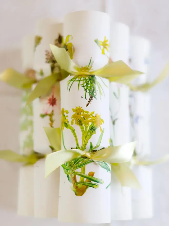 floral celebration cracker