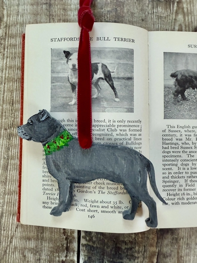 Grey Staffordshire Bull Terrier with a painted Holly wreath collar placed on a red book about dogs