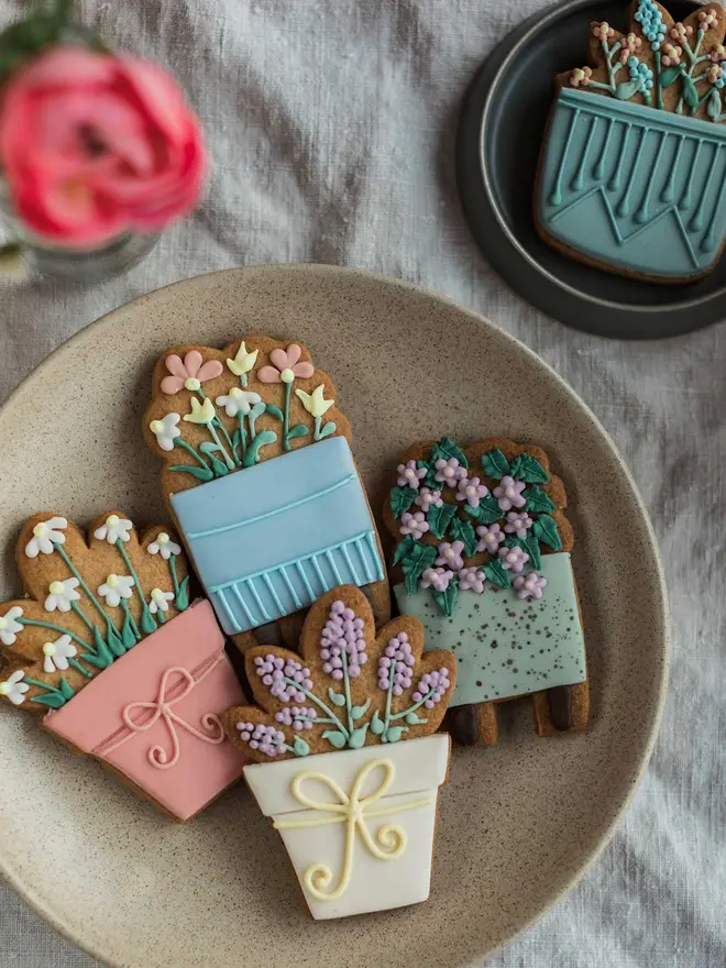 House Plant Biscuit Gift Set