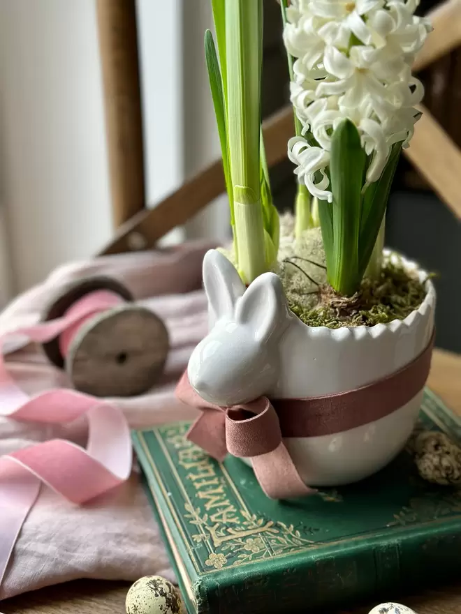 Ceramic pot with sculpted rabbit face. Filled with spring flowering bulbs. Sitting on vinatge books with pink velvet ribbon.